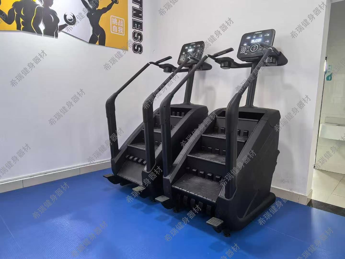 Commercial Cardio Equipment Ex - Home Gym Used review and price