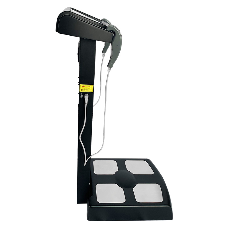 Commercial Body Composition An - Home Gym Used review and price