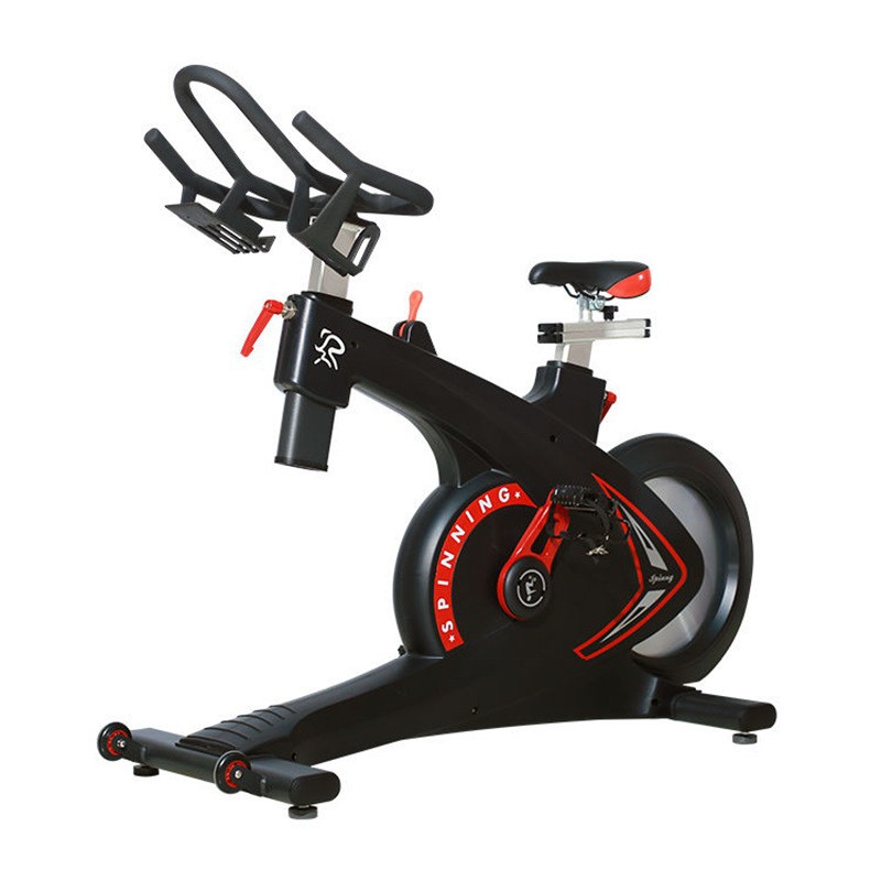 Belt-Drive Magnetic Spin Bike  - Home Gym Luxury Design review and price