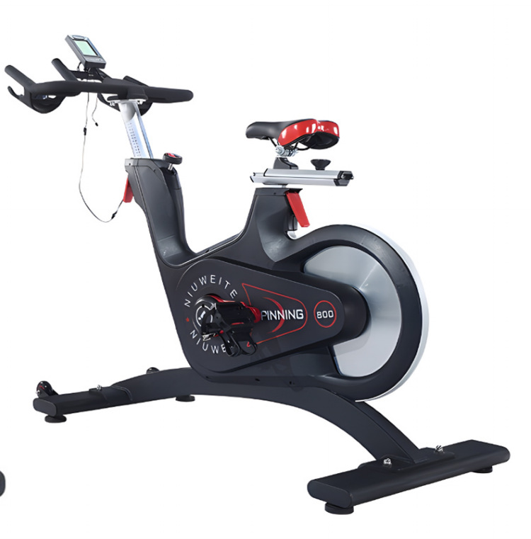 Belt-Drive Magnetic Spin Bike  - Home Gym Luxury Design review and price