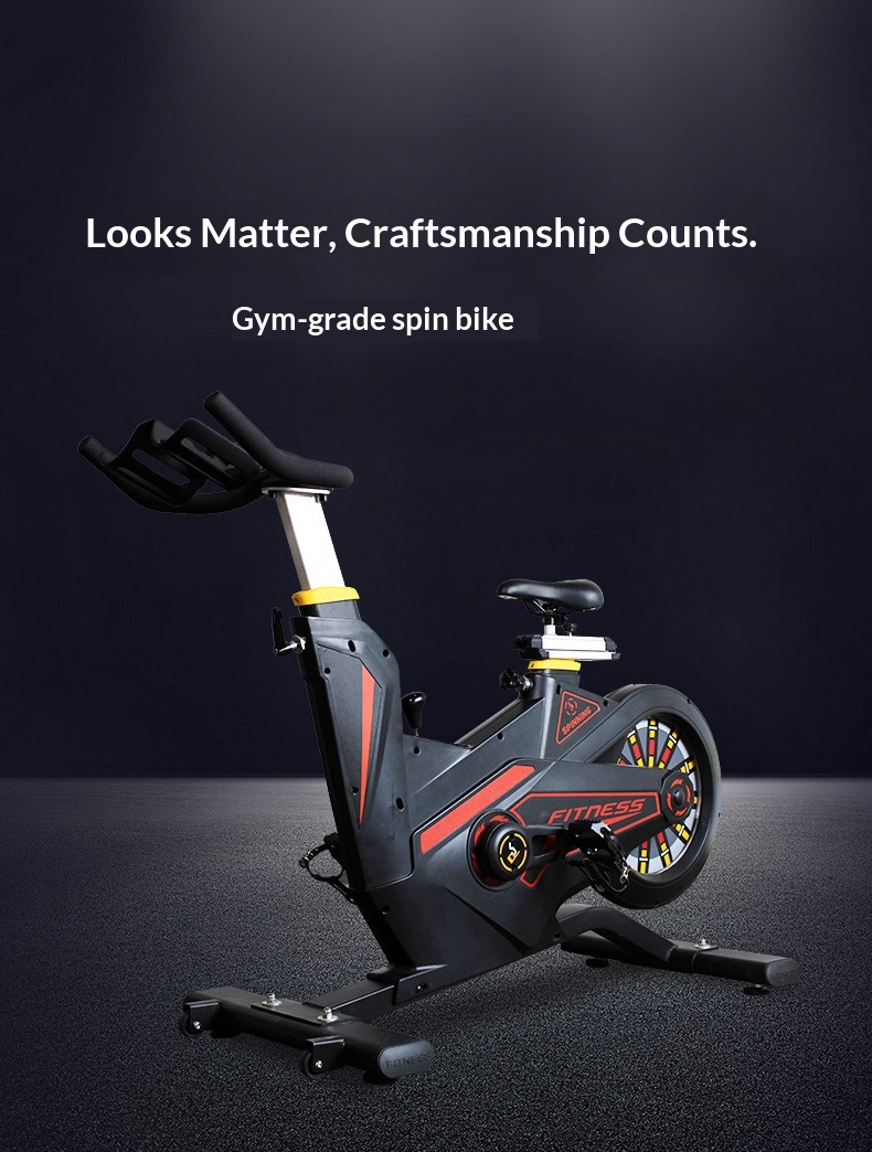 Belt-Drive Magnetic Spin Bike  - Home Gym Luxury Design review and price