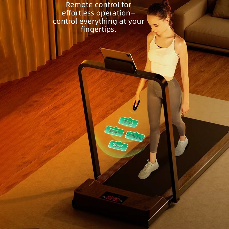 Treadmill, Foldable Quiet Elec - Home Gym Luxury Design review and price